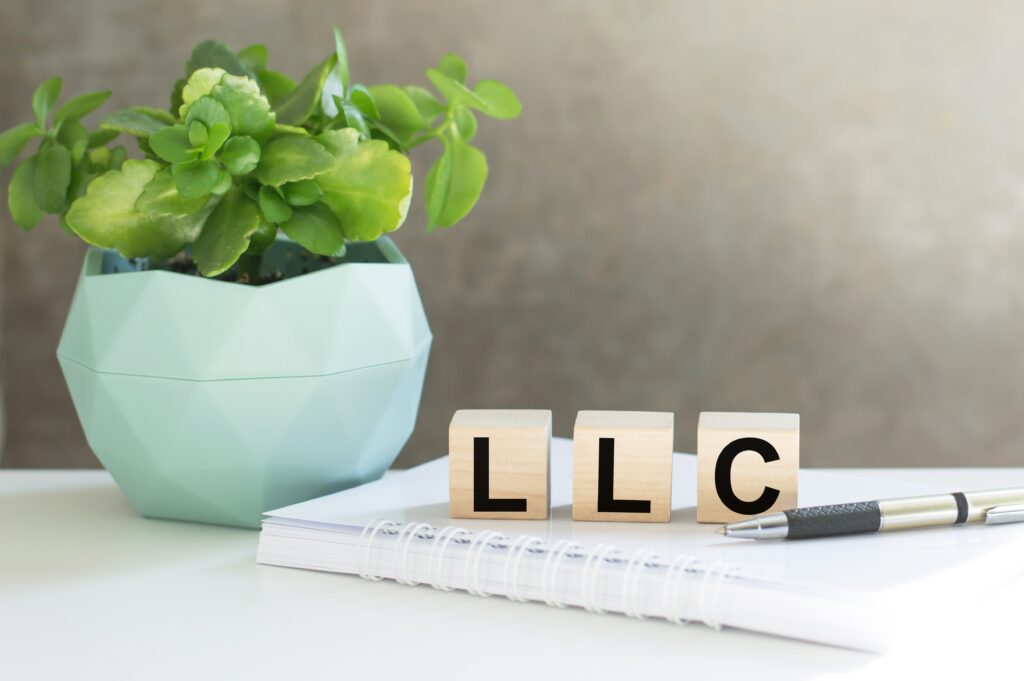 the words LLC on a notebook with a plant in the background in a blue vase 